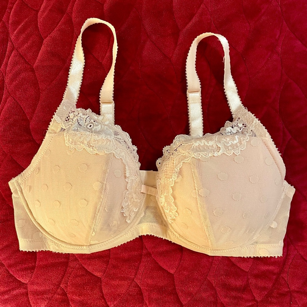 NWOT Adore Me blush pink Lace Bra 36DD